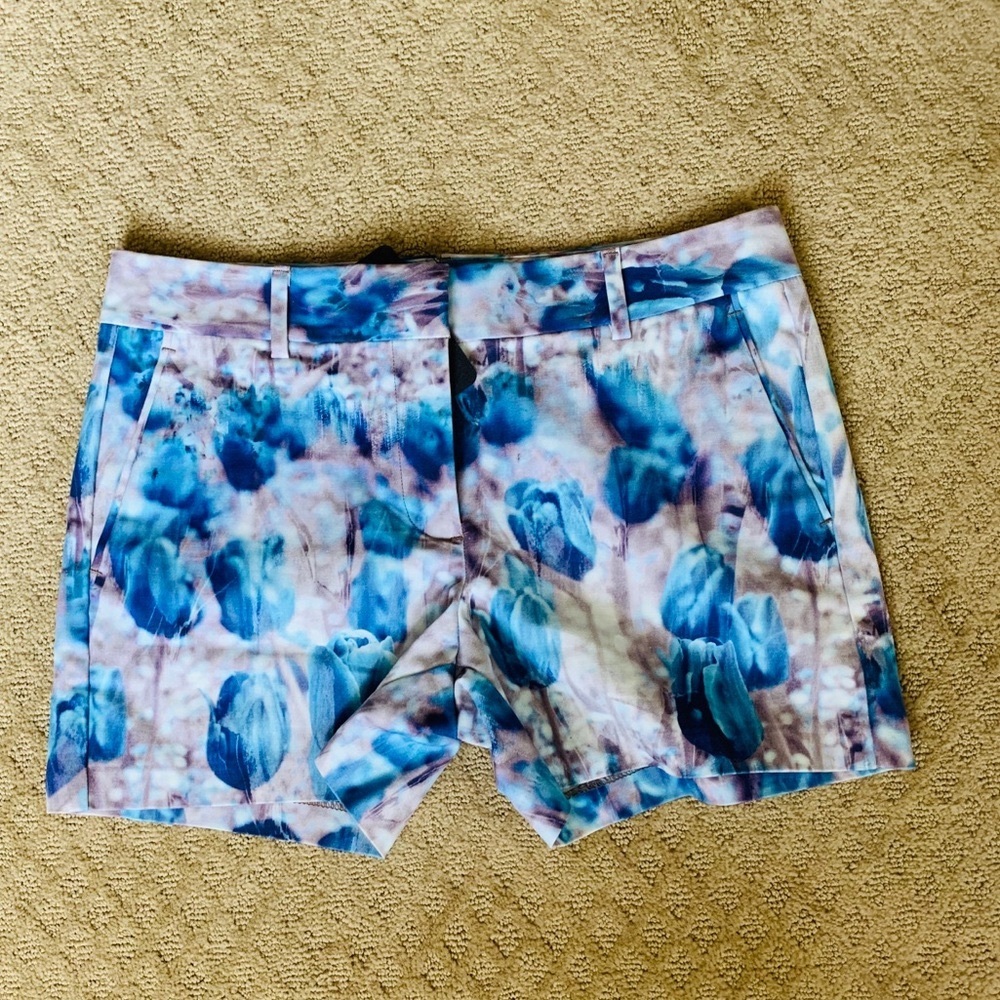 Brand New Joe shorts